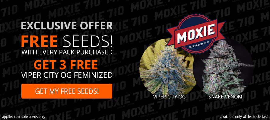Seedsupreme discount coupons