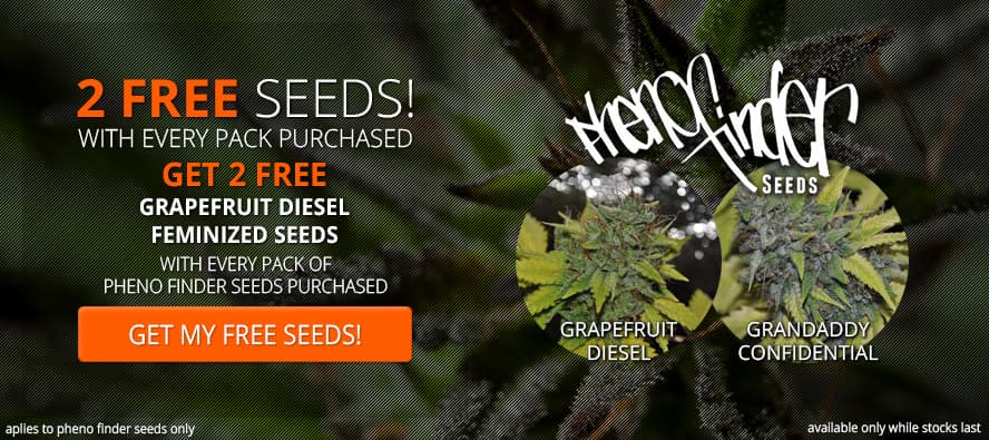 Seedsupreme discount coupons