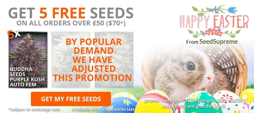 Easter Promotion -products