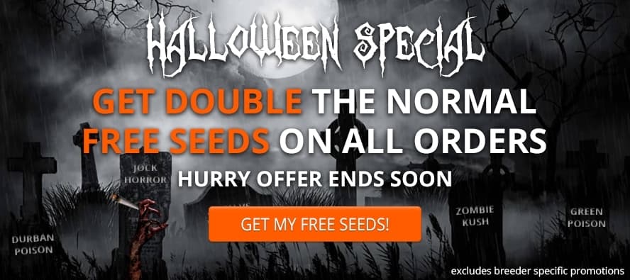 Halloween -products