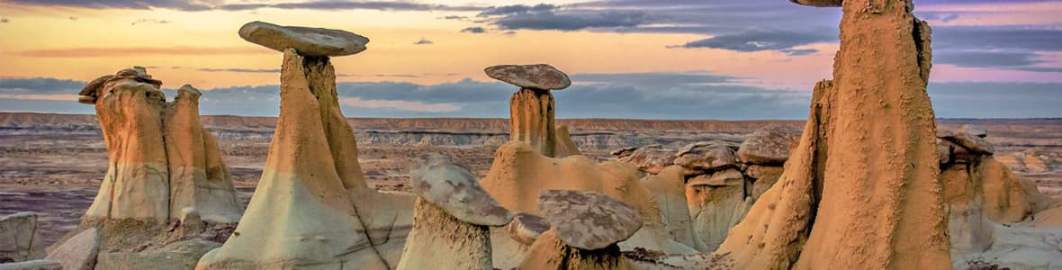 New Mexico -products