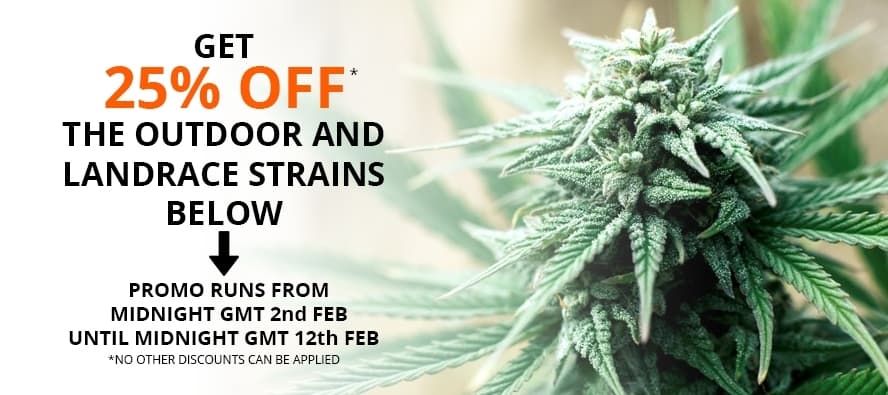 Outdoor Season Sale -products