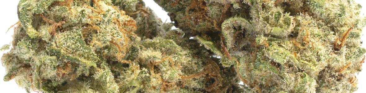 Skunk Strain -products
