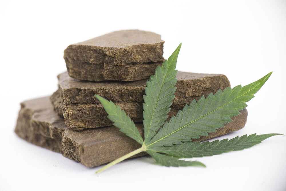 Weed Vs Hash: What's the Big Difference?
