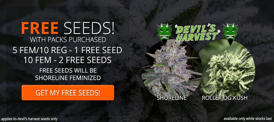 Seedsupreme discount coupons