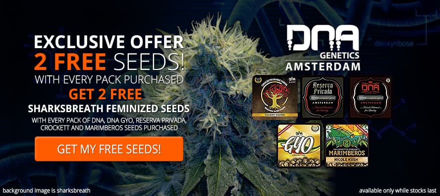 Seedsupreme discount coupons