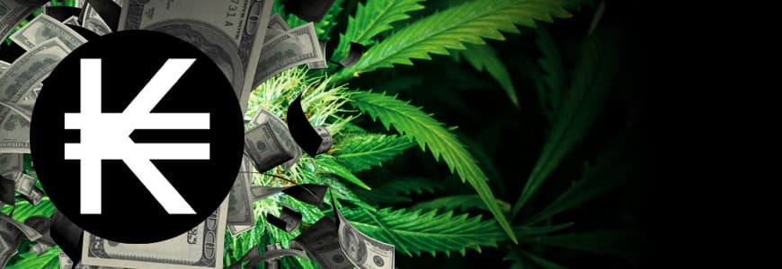 Kush Money Points Loyalty Scheme Kush Money Points Loyalty Scheme