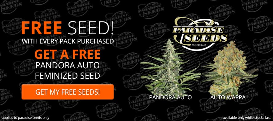 Seedsupreme discount coupons