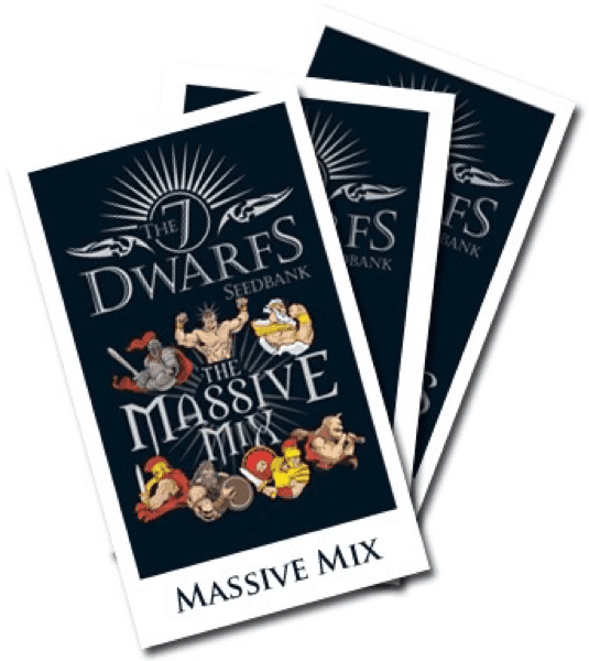 The 7 Dwarfs Seedbank - Massive Mix