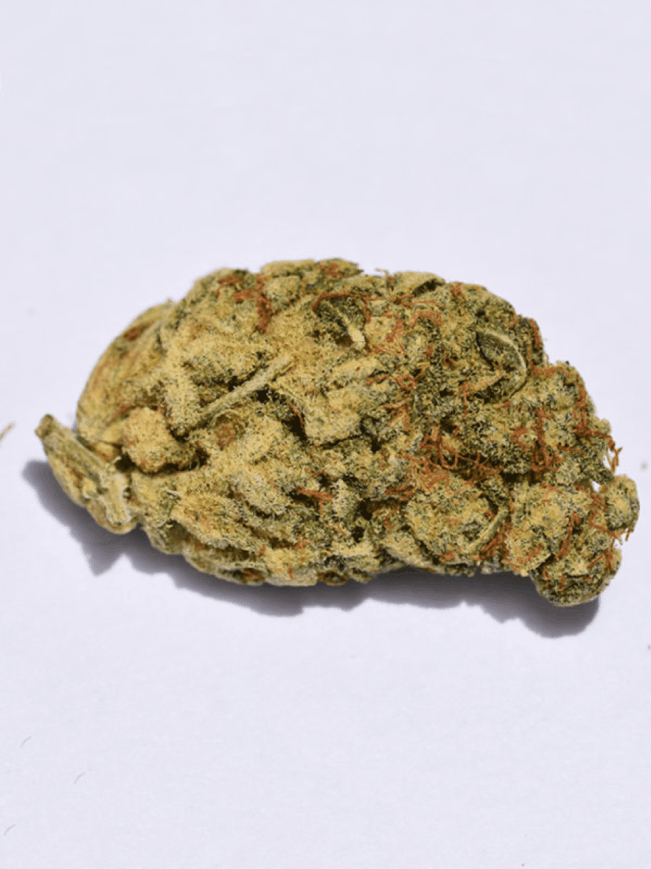 Big Head Seeds - cannabis bud