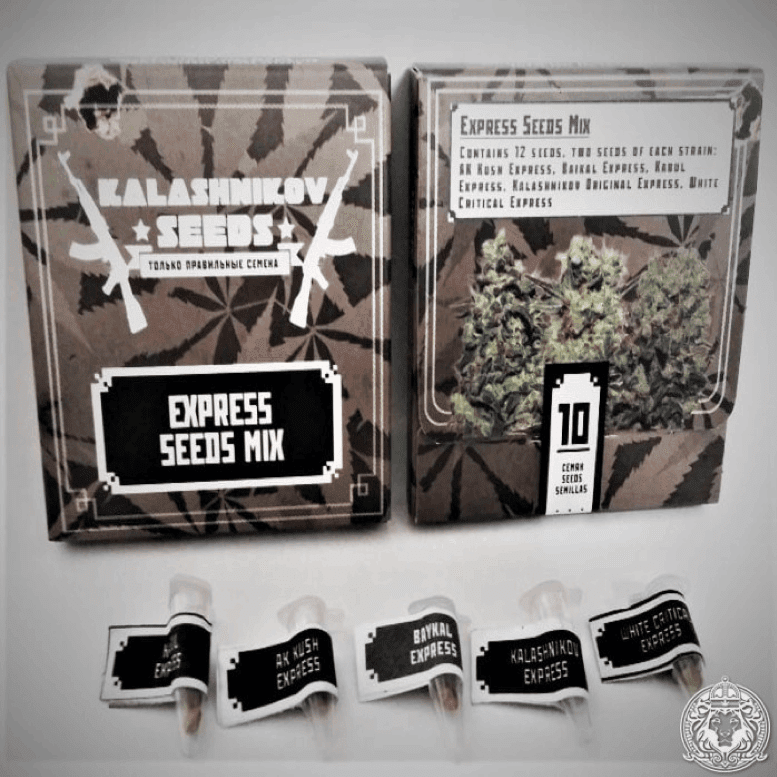 Kalashnikov Seeds - Kalashnikov Express Seeds mix