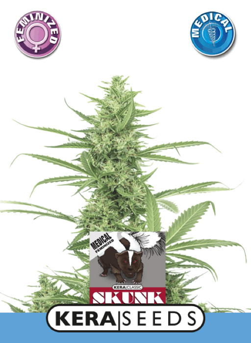 Kera Seeds - Kera Medical Skunk