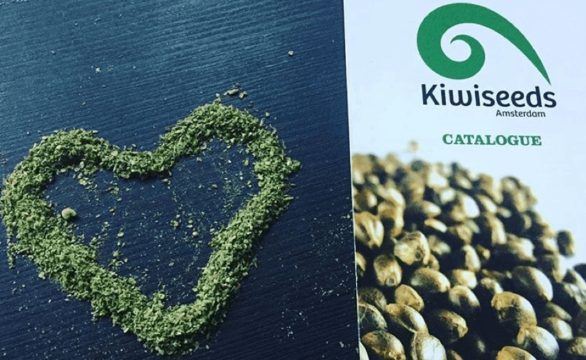 Kiwi Seeds catalog next to cannabis heart