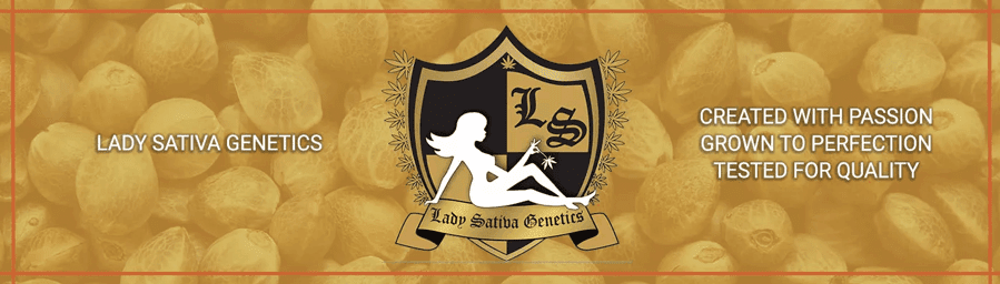 Lady Sativa Genetics