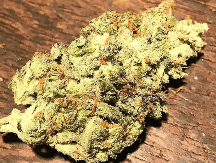 Plantformers cannabis bud