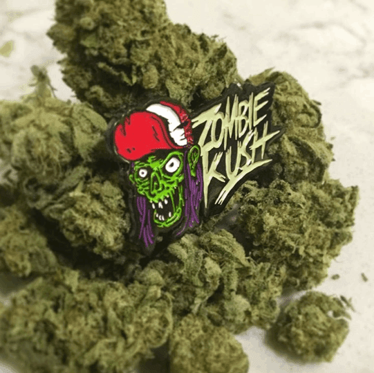 Ripper Seeds - Zombie Kush