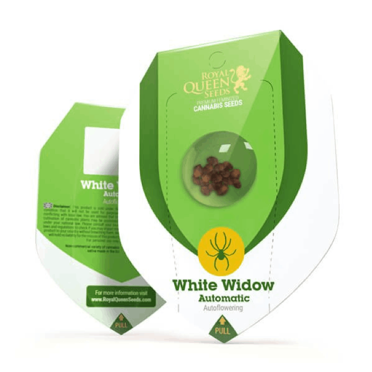 Royal Queen Seeds - White Widow autoflowering in packaging