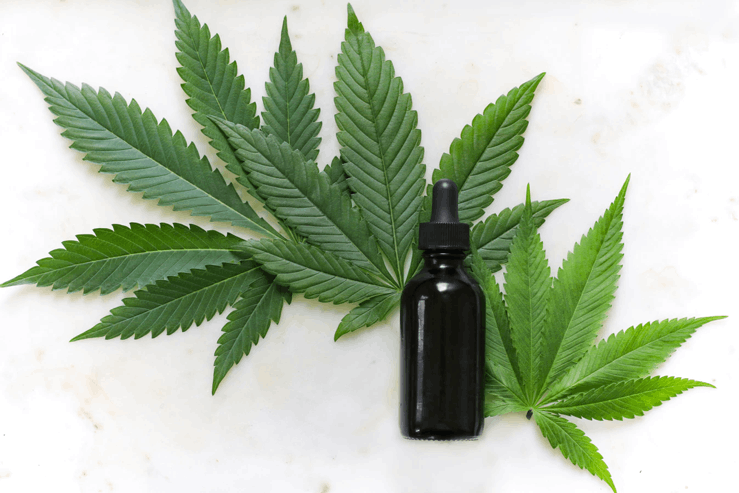 Cannabis leaves with extract bottle