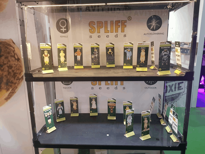 SPLIFF Seeds awards