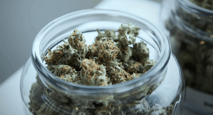 Marijuana buds in a jar