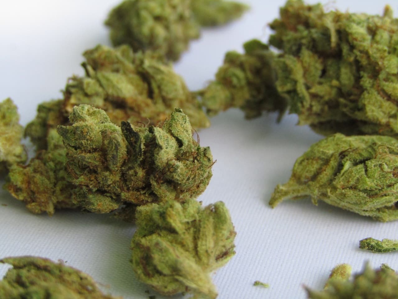 cannabis nugs on white surface