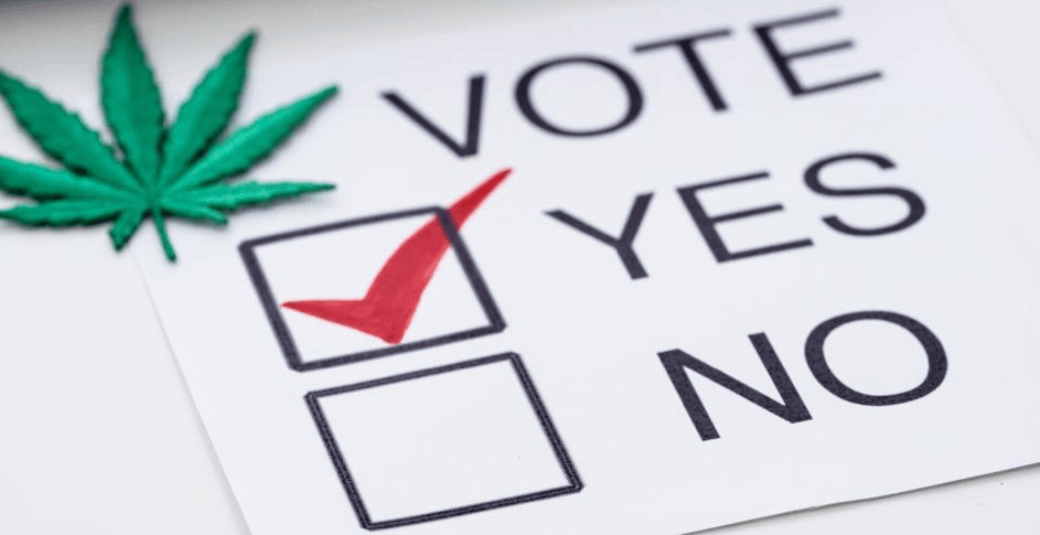 Vote yes or no for marijuana legalization