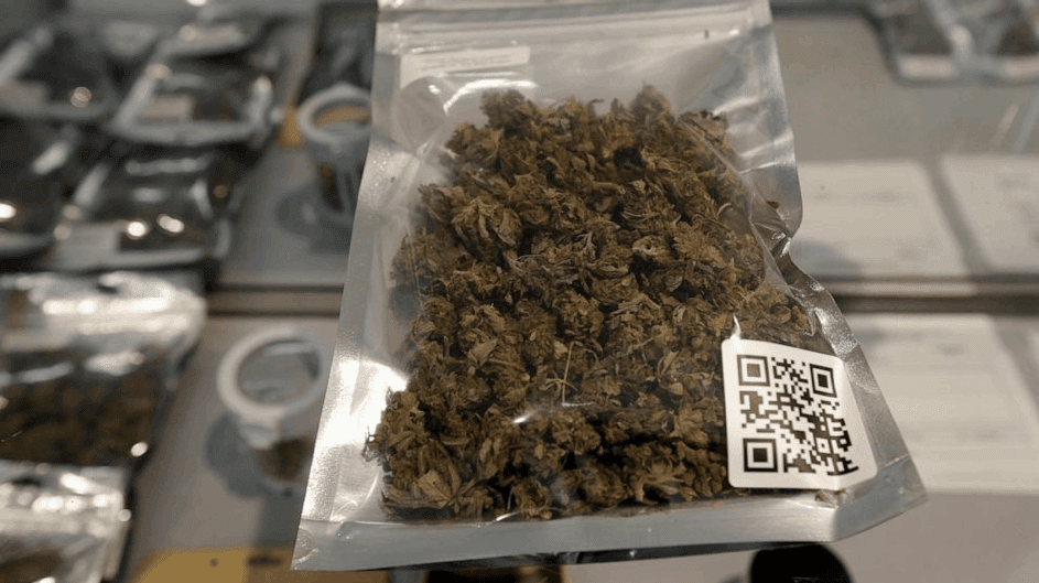 medical marijuana in bag