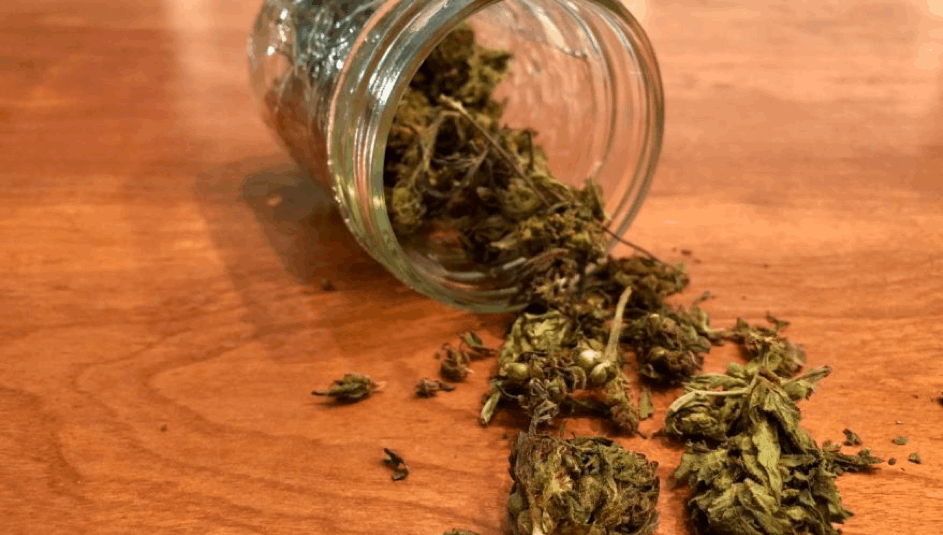 cannabis nugs in a jar