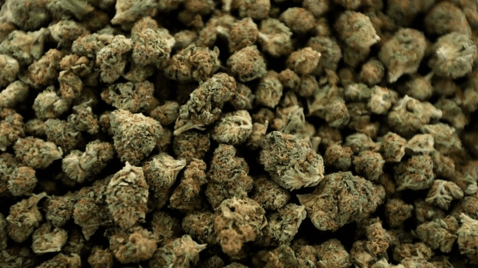 Cannabis in Virginia